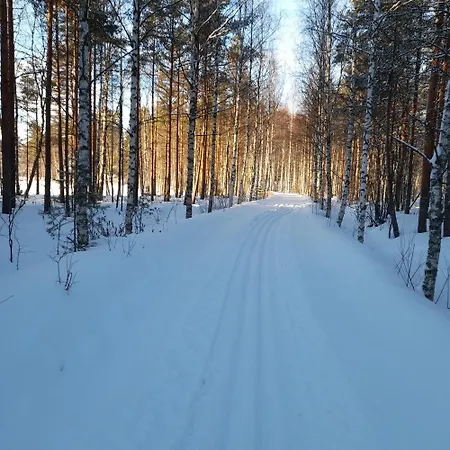 Perinnehirsitalo 维塔萨里