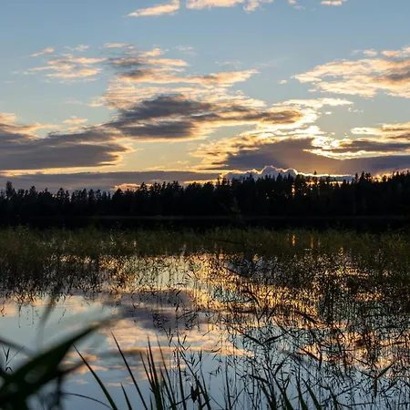 Perinnehirsitalo 木屋 *