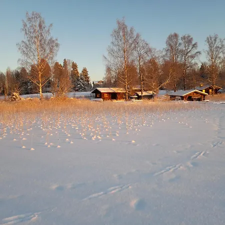 Perinnehirsitalo Chalet Viitasaari