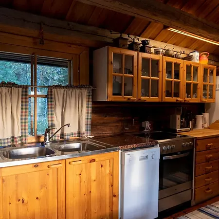 Chalet Perinnehirsitalo Viitasaari