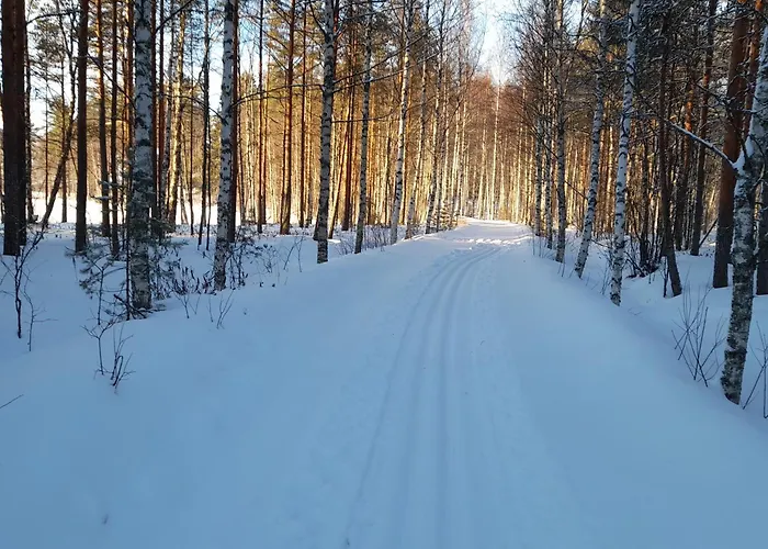 Perinnehirsitalo Viitasaari