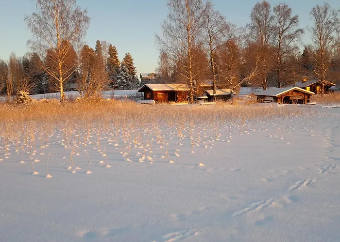 Perinnehirsitalo Chalet Viitasaari
